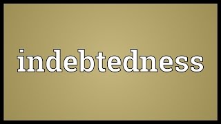 Indebtedness Meaning [upl. by Hachmann]