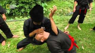 Fight Master  Silat Official Trailer [upl. by Weinstock]