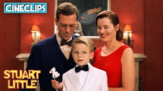 Stuart Little Clips  Trailer  Best Scenes [upl. by Ailehc]