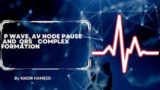 ECG P wave QRS complex and t wave [upl. by Terrijo]