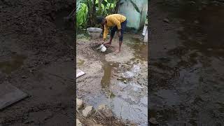 மழை வந்தாலே 🌧️🌨️  மாடுகளுக்கு 🐂🐄சிரமம்  youtube video  please subscribe my channel [upl. by Vod]