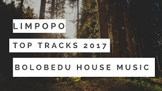 Limpopo Top Tracks 2017Bolobedu House MusicVol5 [upl. by Eelyk233]