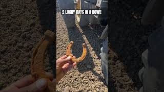 LUCKY TWO DAYS IN A ROW foryou youtubeshorts farmlife viralshort artifacts finding [upl. by Rudin50]