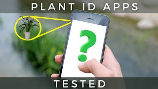 What Plant Identifier App Is Best I Tested Them [upl. by Rollins]