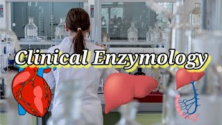 Clinical Enzymology clinical enzymes Clinical applications of enzymes [upl. by Faletti]