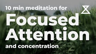 10 Minute Guided Meditation for Focused Attention and Concentration No Music Voice Only [upl. by Ferree]