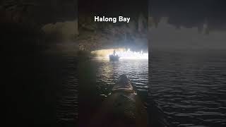 Halong Bay kayaking Vietnam vietnam halongbaycruise [upl. by Nadabb363]