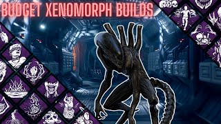 The Budget Guide to Xenomorph in DBD [upl. by Bosch]