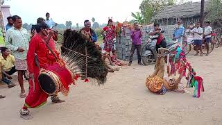 nagaon danda nurtya patar saura ampsaurani [upl. by Ataynik]