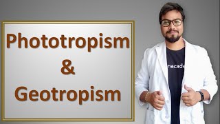 Phototropism and geotropism in hindi [upl. by Lanahtan]