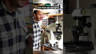 Whats the difference between an inverted microscope and an upright microscope [upl. by Etterraj27]