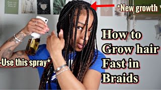 HOW TO MAINTAIN AND GROW HAIR FAST IN BOX BRAIDS PROTECTIVE STYLE MAINTENANCE [upl. by Shelly]