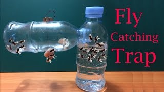 How to make Fly Trap at home easily to catch hundreds of fly in days  Creative Channel [upl. by Dilly]