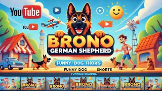 BRONO german shepherd Live Stream [upl. by Eecats]