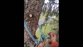 How to climb  tie Blakes friction hitch diy adventure [upl. by Redla]