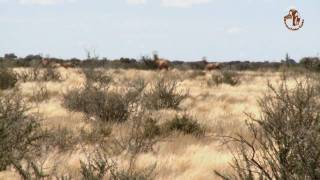 Namibia erleben  Teil 6  Lodges zum Wohlfühlen [upl. by Nalyorf]