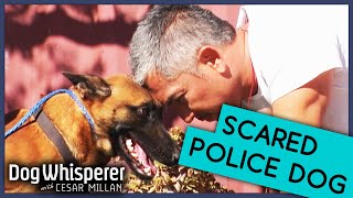 Heartbreaking K9 Dog Is Terrified Of Everything 😰  Dog Whisperer With Cesar Millan [upl. by Akli]