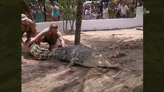 Discover Steve Irwins Extraordinary Path to Becoming the Crocodile Hunter  Crocodile Hunter [upl. by Leirbaj]