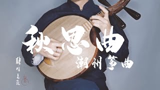 【月琴】《秋思曲》月琴独奏•潮州筝曲『肆月上弦』 [upl. by Kennedy490]