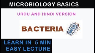 Bacteria Introduction Basic Microbiology  Urdu and Hindi Version [upl. by Biddie]