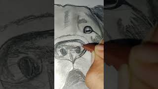 Dog Sketch Realistic  Guys do subscribe my channel am artwork for animalsketching quickdrawing [upl. by Riabuz]