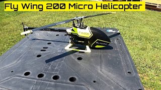 Fly Wing 200 Micro Helicopter W H1 V2  Easy to fly [upl. by Shaikh]