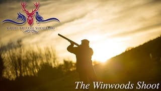 Driven Pheasant Shooting The Winwoods Shoot [upl. by Aicirtak301]