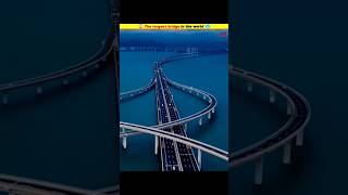 😱 The longest bridge in the world 🥶 shorts MRINDIANHACKER CrazyXYZ [upl. by Nidraj]