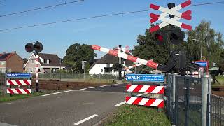 Spoorwegovergang Hattemerbroek  Dutch Railroad Crossing [upl. by Syverson]