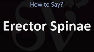 How to Pronounce Erector Spinae CORRECTLY [upl. by Leclair894]