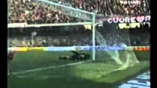 Italian Serie A Greatest Goals 19921993 part 23 [upl. by Zaob967]