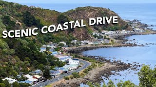 Epic Driving Tour of Wellingtons Stunning Bays  New Zealand 2024 [upl. by O'Rourke]