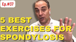 Ep37 5 Best Exercises For Lumbar Spondylosis  Dr Walter Salubro Chiropractor in Vaughan [upl. by Ahsaele]