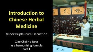 Minor Bupleurum Decoction  Xiao Chaihu Tang  Part 1 [upl. by Mapel461]