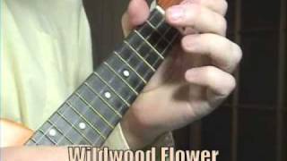 Bluegrass Banjostyle Ukulele Wildwood Flower 2008 [upl. by Sisely]