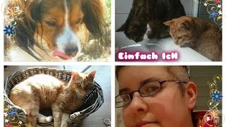 VLOG ♡ Persönliches über mich ★ Trichotillomanie ♥ [upl. by Katzen]