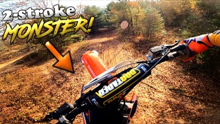 THIS 2STROKE IS WILD First Ride on my KTM 250SX [upl. by Atiugram952]