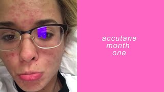 accutane month one  aspenlikeatree [upl. by Ynattyrb]