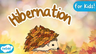 What is Hibernation  Hibernation for Kids [upl. by Aitnohs]