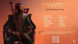 Andualem Gosa  AYYAANTUU  New Oromo Music Album 2024 [upl. by Nowujalo]