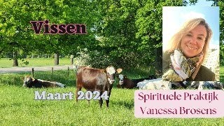 VISSEN MAART 2024 VEEL MOGELIJKHEDEN LEIDEN JE NAAR DE JUISTE WEG [upl. by Acacia750]