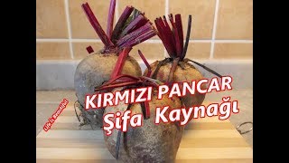 KIRMIZI PANCAR NASIL PİŞİRİLİR  KARACİĞERE BAKIM [upl. by Geraud]