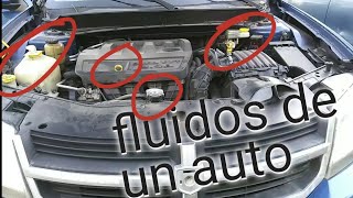 como revisar todos los líquidos o fluidos de un auto [upl. by Giordano]