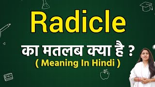 Radicle meaning in hindi  Radicle ka matlab kya hota hai  Word meaning [upl. by Blinni]