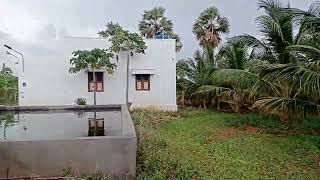 4 acre Farm land with House For Sale in Tenkasi 10 kms  Surandai outer [upl. by Anivek806]