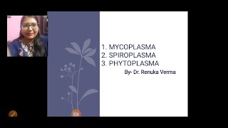 Mycoplasma Phytoplasma Spiroplasma मायकोप्लाज्मा फायटोप्लाज्मा तथा स्पाइरोप्लाज्मा [upl. by Candida]