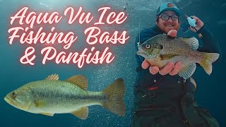 Under Water Camera Bass amp Bluegill Ice Fishing [upl. by Nottap]