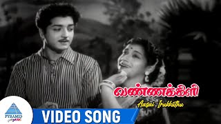 Vannakili Movie Songs  Aasai Irukkuthu Video Song  Manohar  BS Saroja  Prem Nazir [upl. by Katherin]