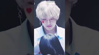 BTS Cute V  bts funny and cute moments [upl. by Kcirrad]