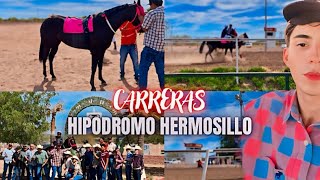 CARRERAS HIPÓDROMO HERMOSILLO😳🐎 [upl. by Htebirol]